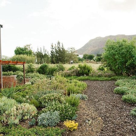 Vineyard Views Country House 리비크 카스틸 외부 사진