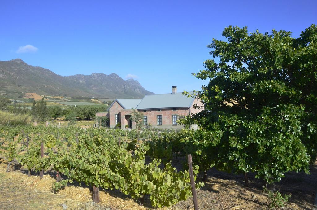 Vineyard Views Country House 리비크 카스틸 외부 사진