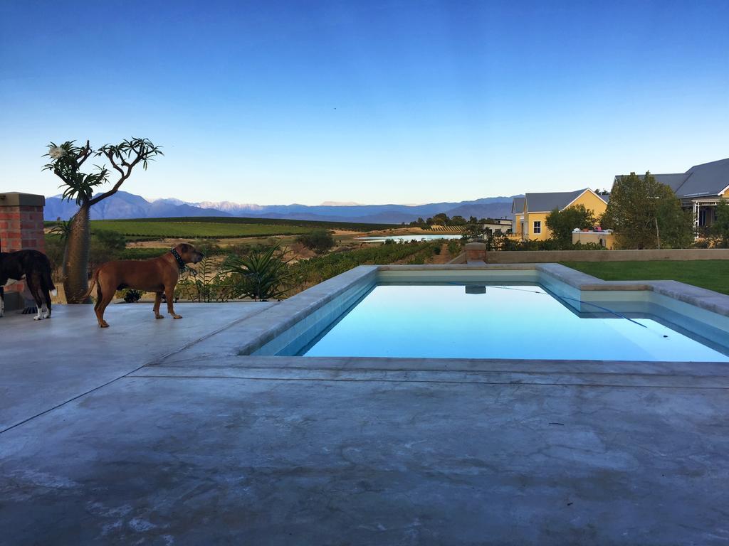 Vineyard Views Country House 리비크 카스틸 외부 사진