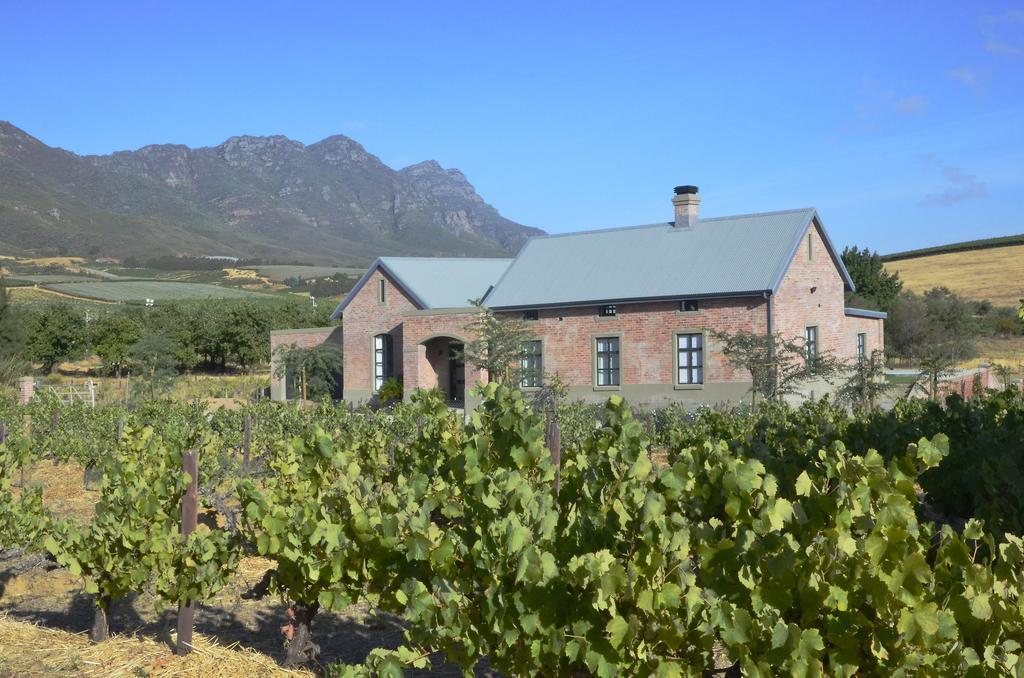 Vineyard Views Country House 리비크 카스틸 외부 사진