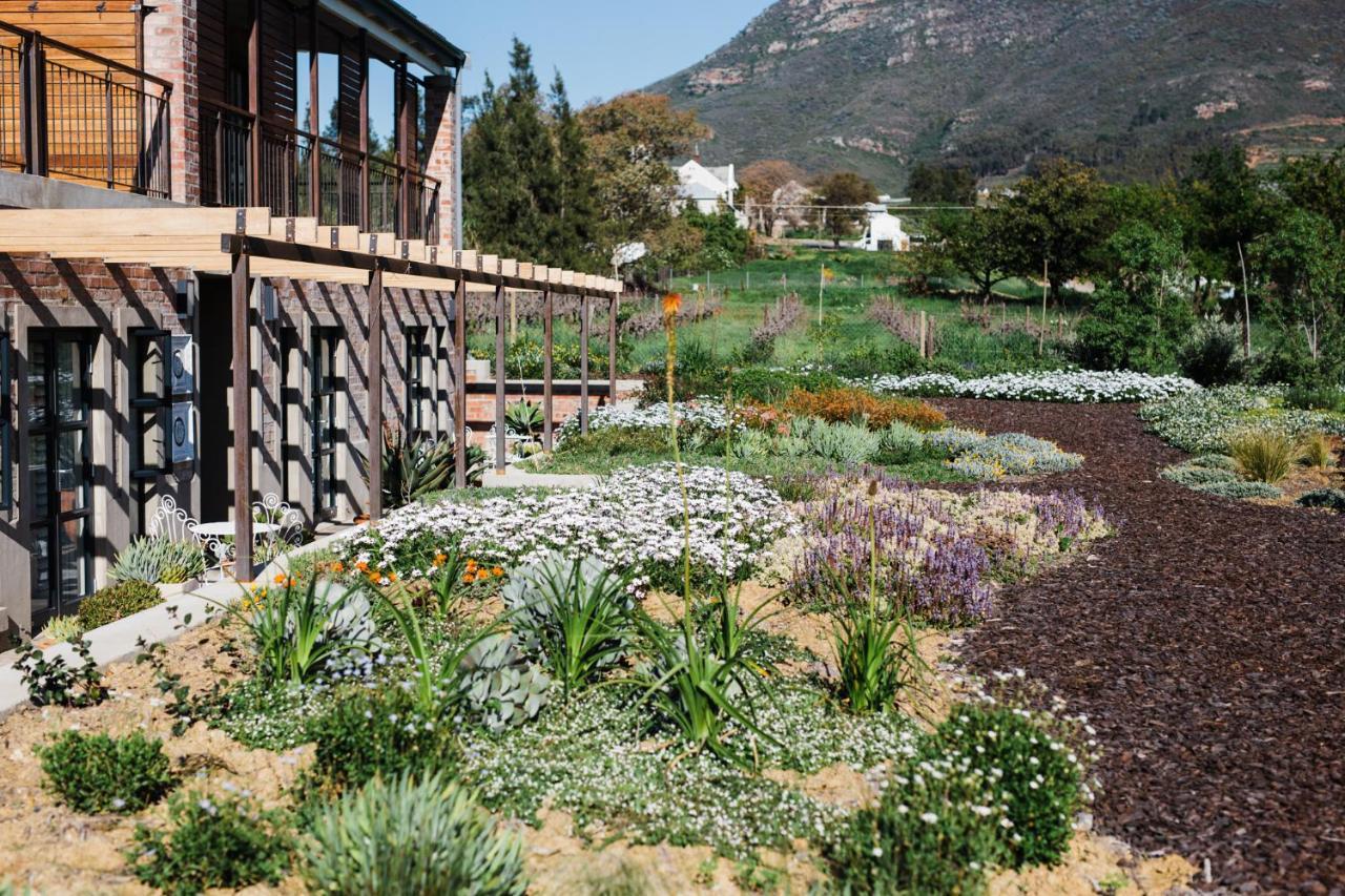 Vineyard Views Country House 리비크 카스틸 외부 사진