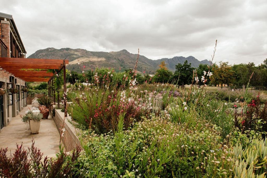 Vineyard Views Country House 리비크 카스틸 외부 사진