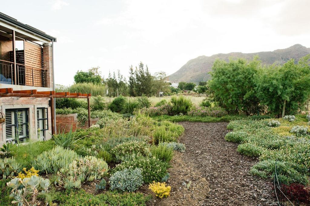 Vineyard Views Country House 리비크 카스틸 외부 사진
