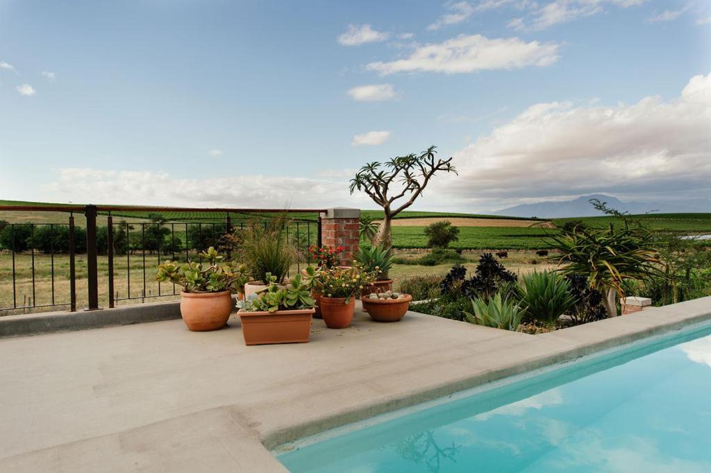 Vineyard Views Country House 리비크 카스틸 외부 사진